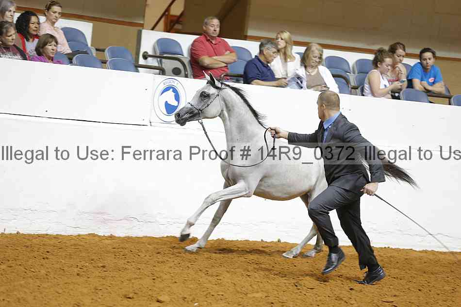 Proof 14r9_0372