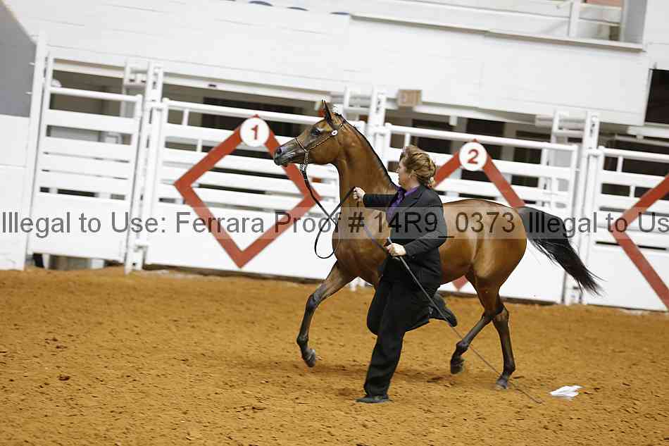 Proof 14r9_0373