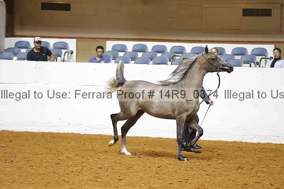 Proof 14r9_0374
