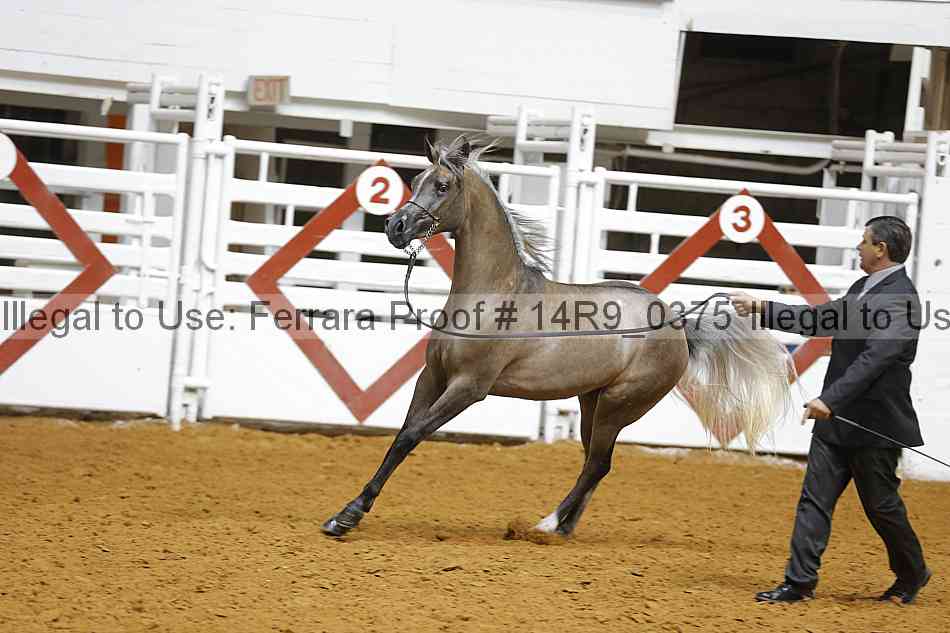 Proof 14r9_0375
