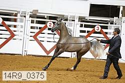 14r9_0375 proof
