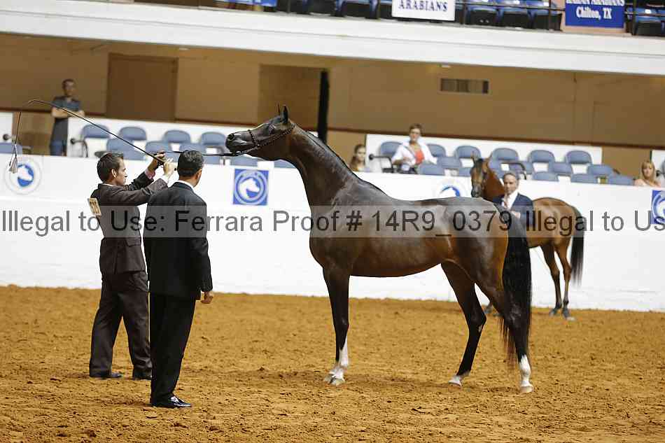 Proof 14r9_0379