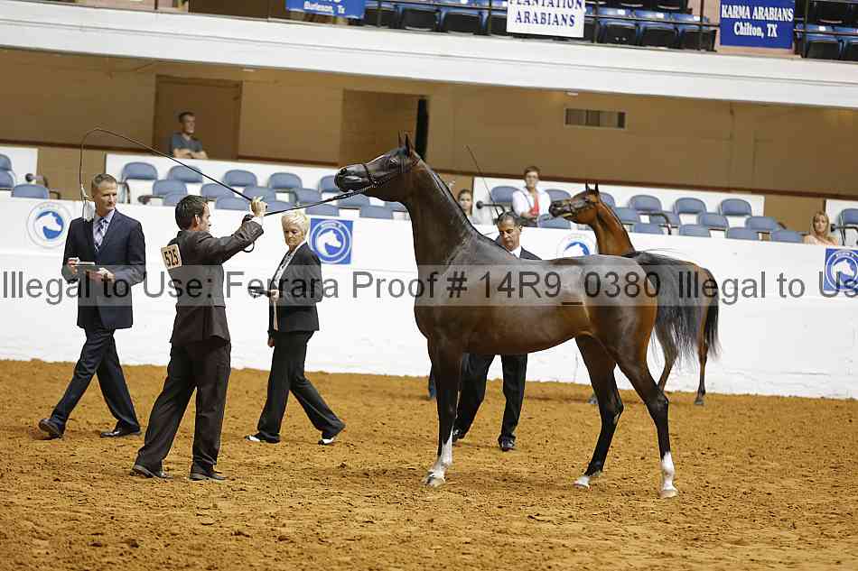 Proof 14r9_0380
