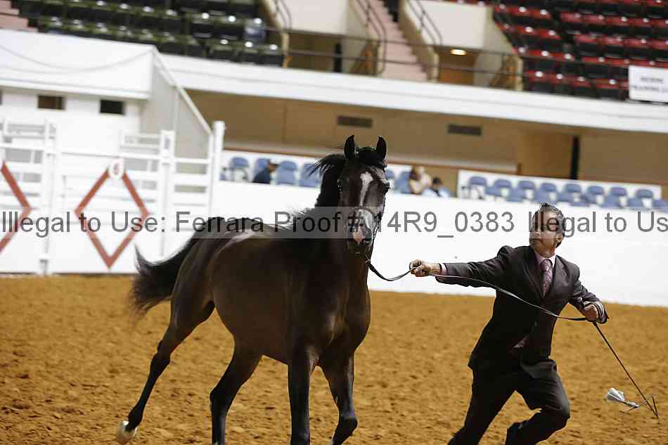 Proof 14r9_0383