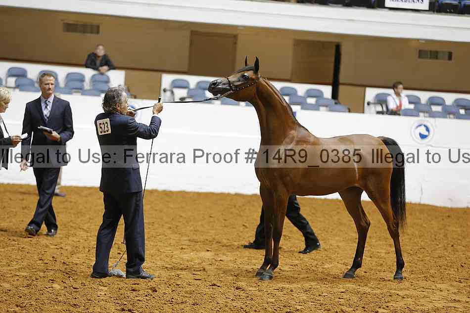 Proof 14r9_0385