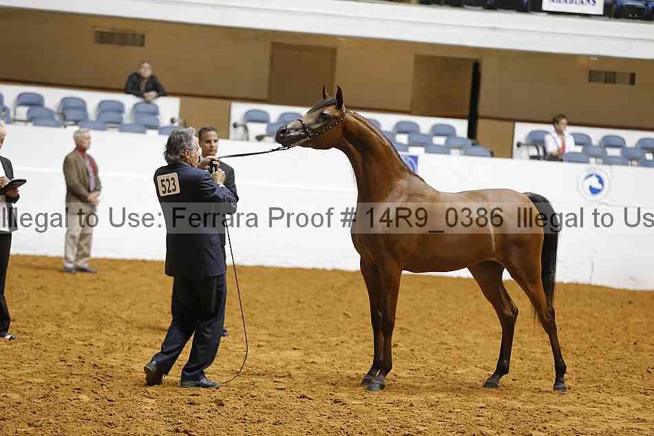 Proof 14r9_0386
