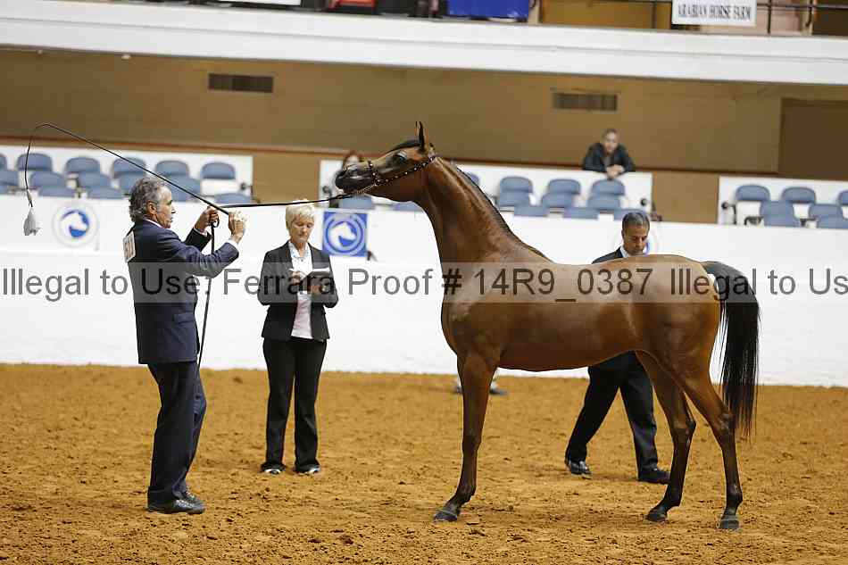 Proof 14r9_0387