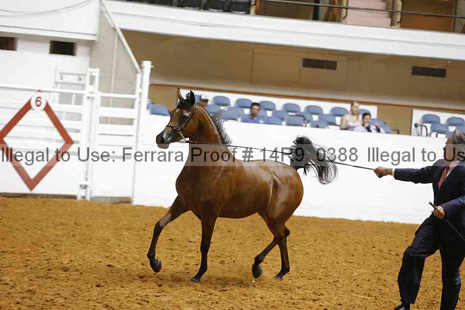 Proof 14r9_0388