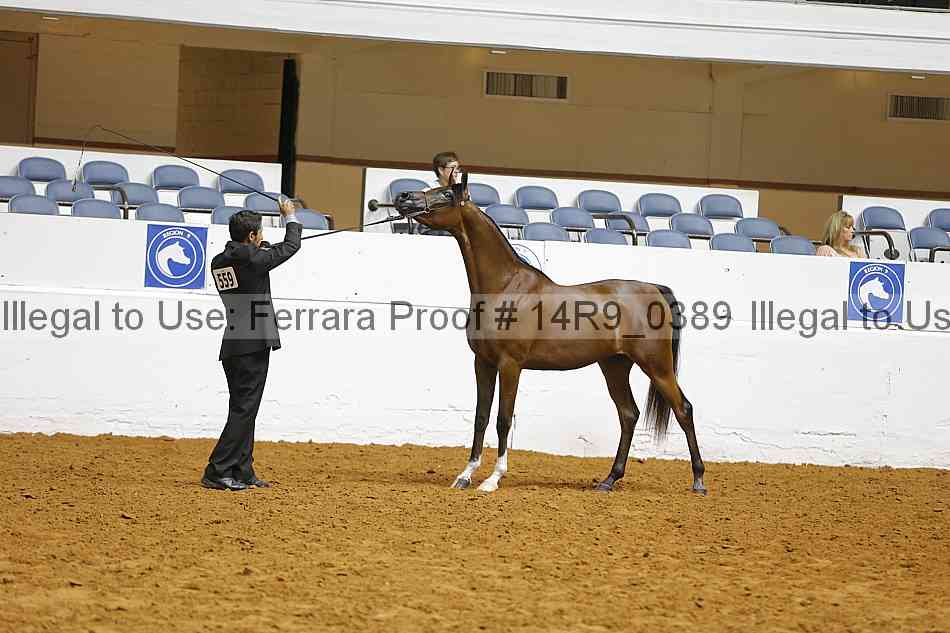 Proof 14r9_0389