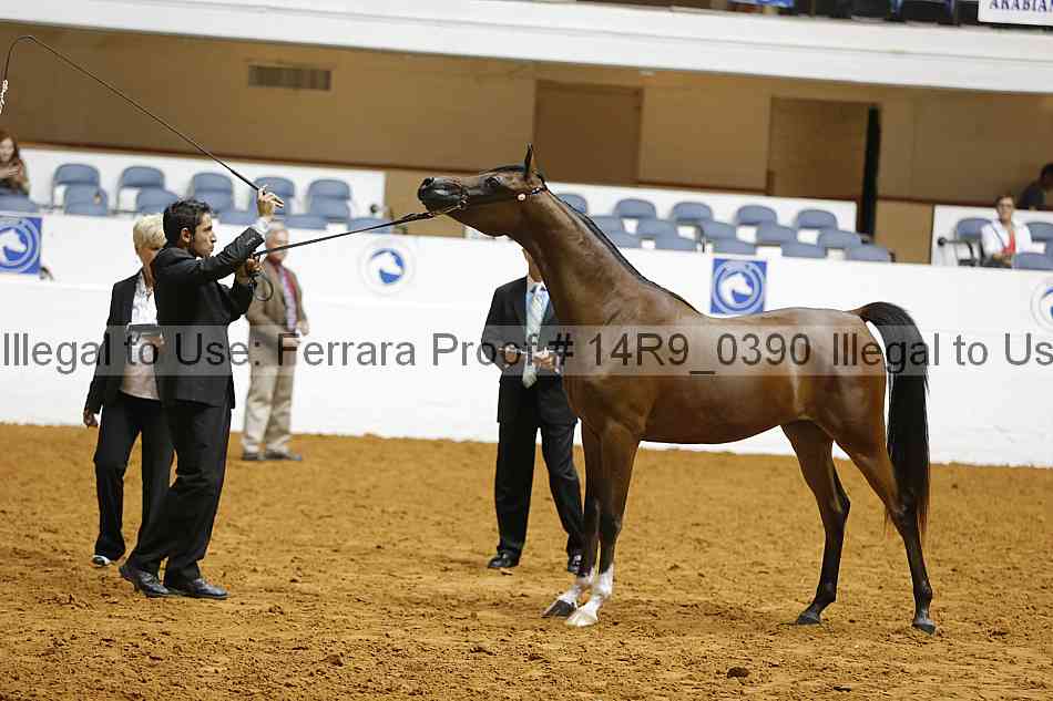 Proof 14r9_0390