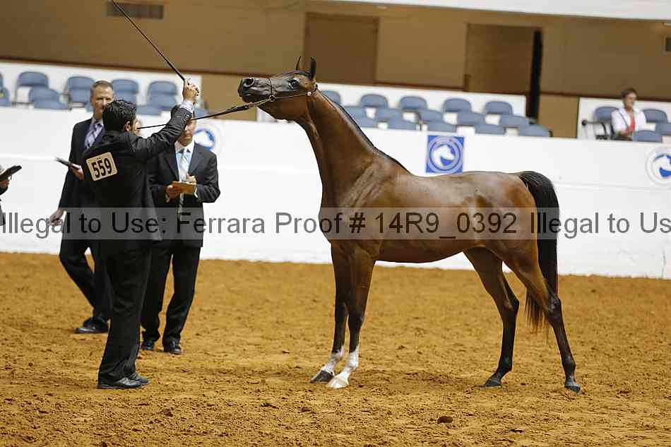 Proof 14r9_0392