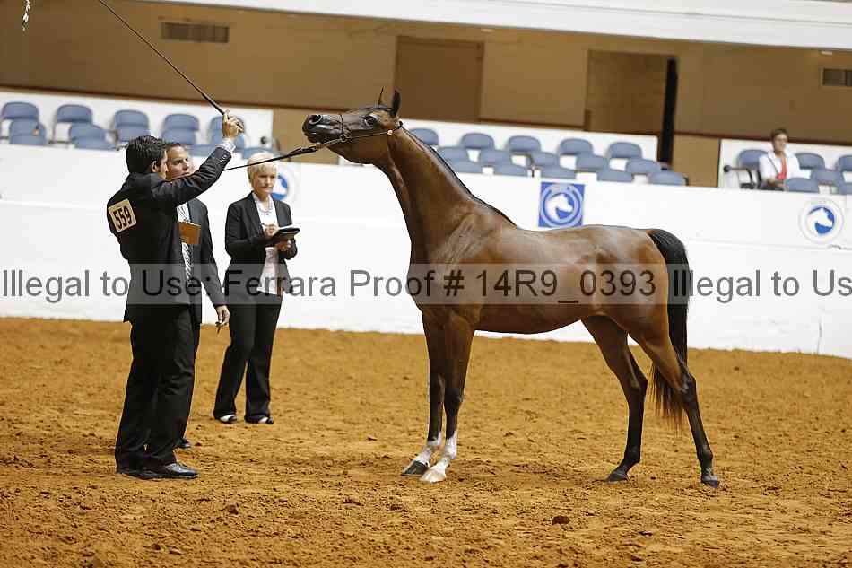 Proof 14r9_0393