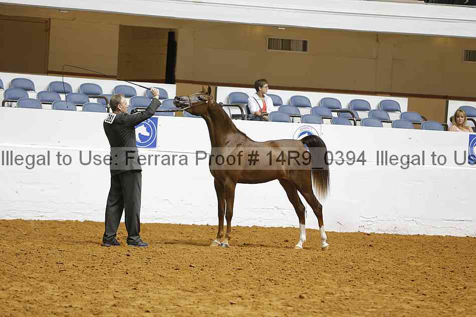 Proof 14r9_0394