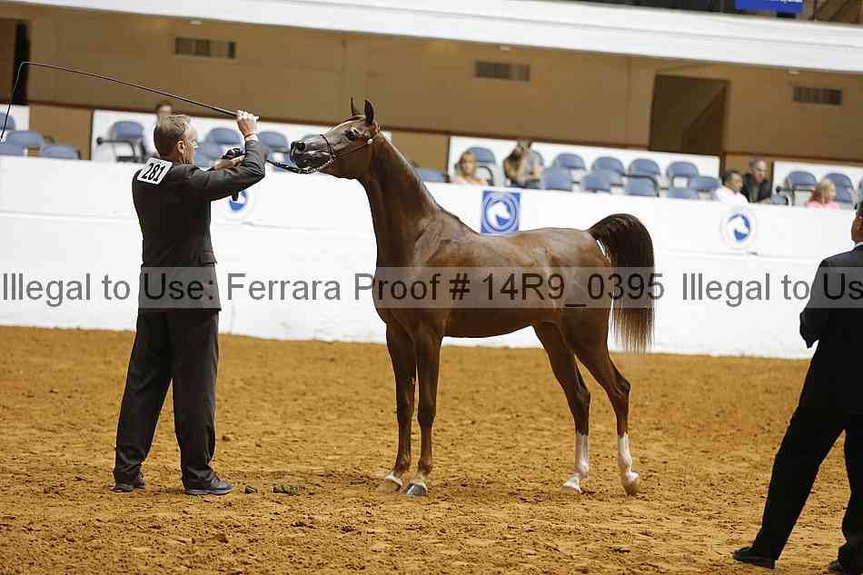 Proof 14r9_0395