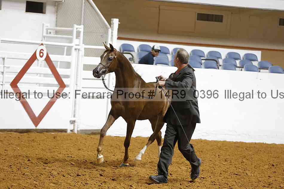 Proof 14r9_0396