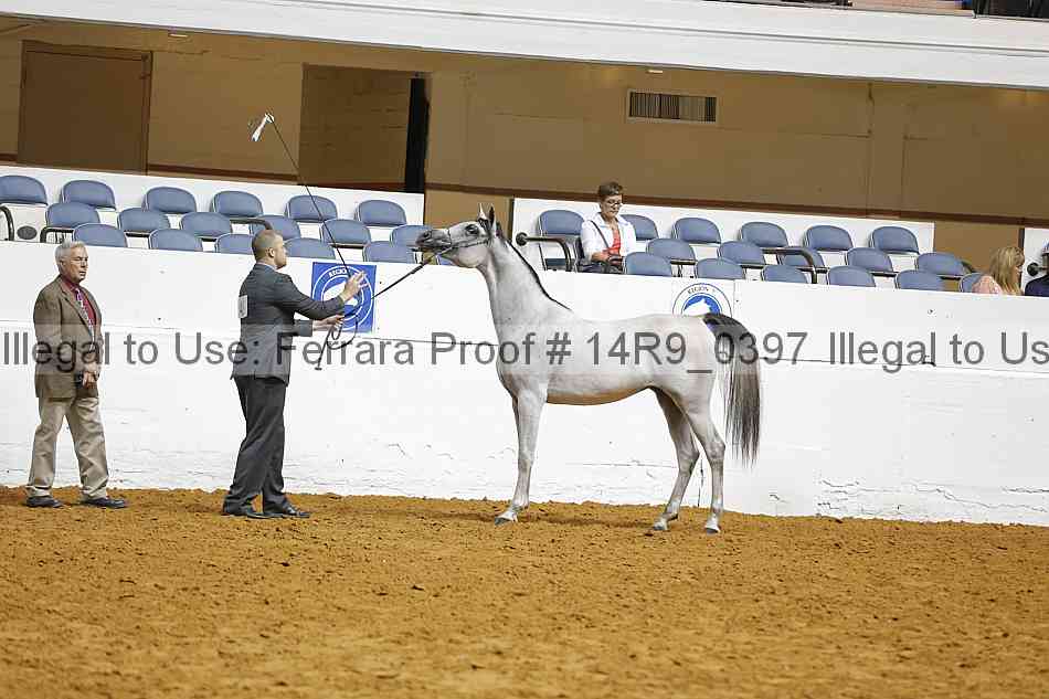 Proof 14r9_0397