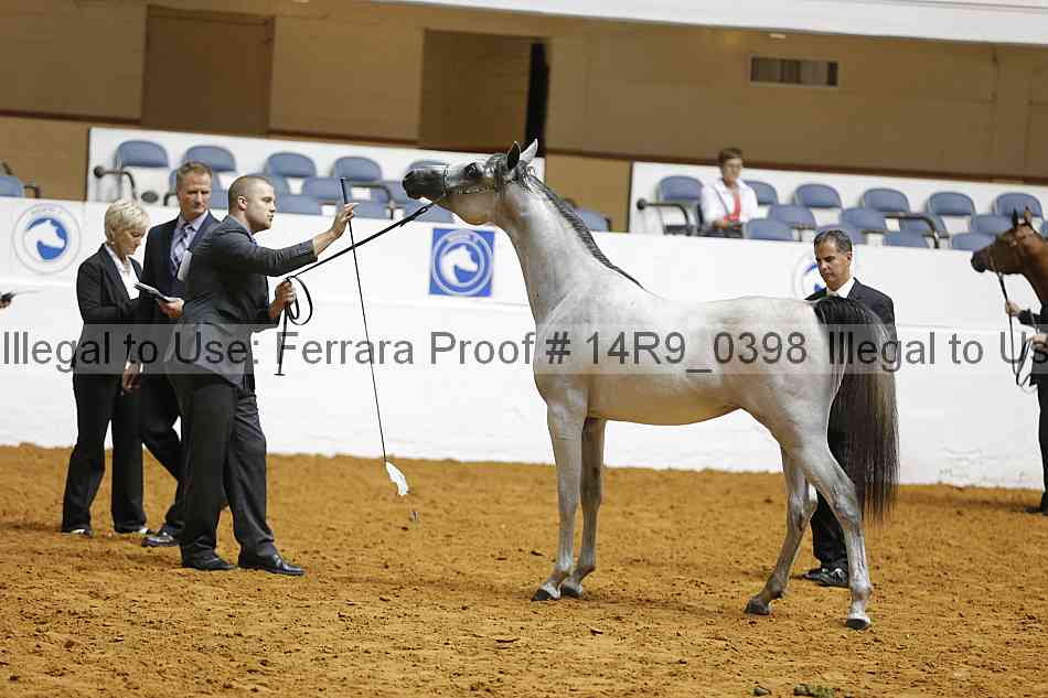 Proof 14r9_0398