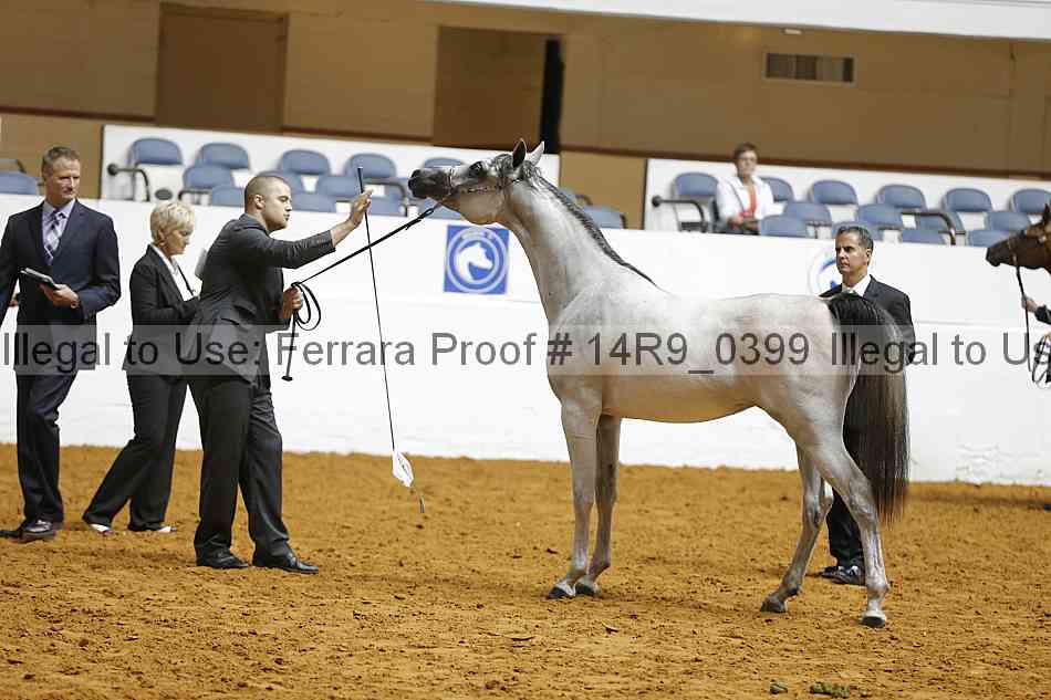 Proof 14r9_0399