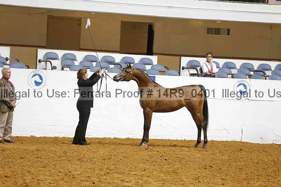 Proof 14r9_0401