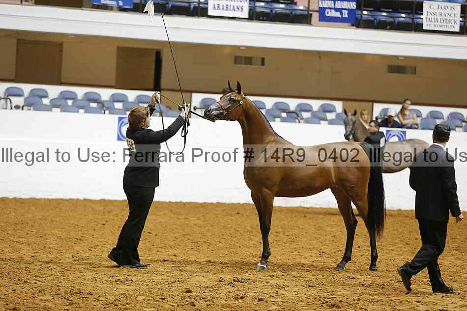 Proof 14r9_0402