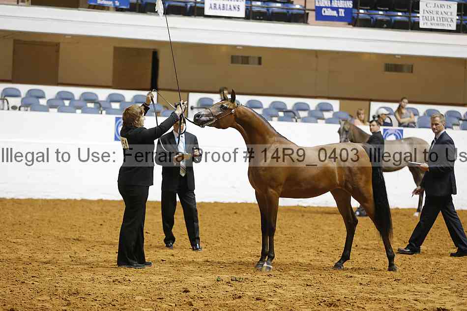 Proof 14r9_0403