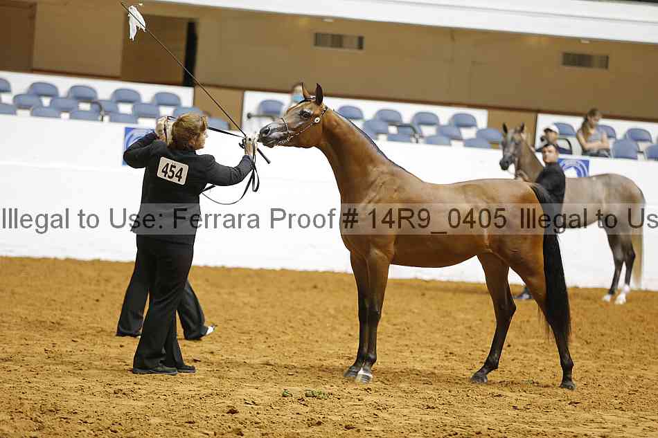 Proof 14r9_0405
