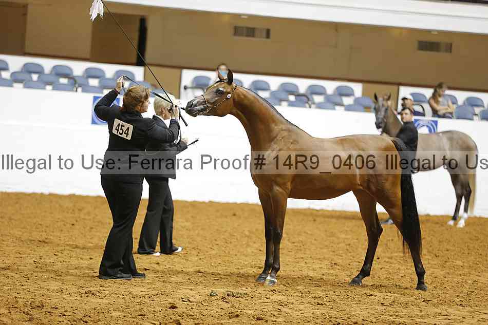 Proof 14r9_0406