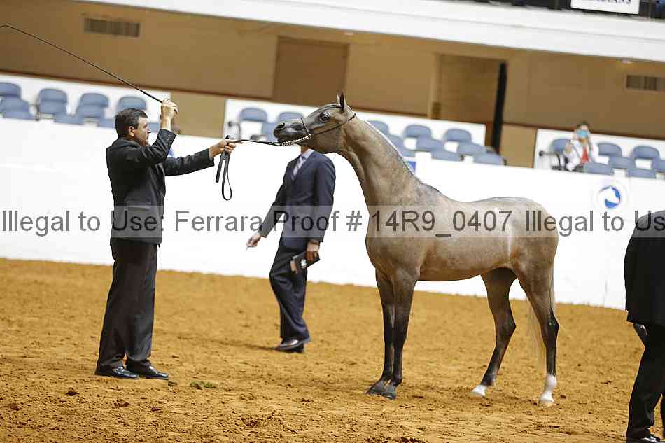 Proof 14r9_0407