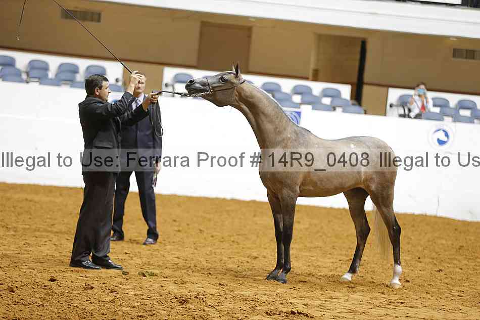 Proof 14r9_0408