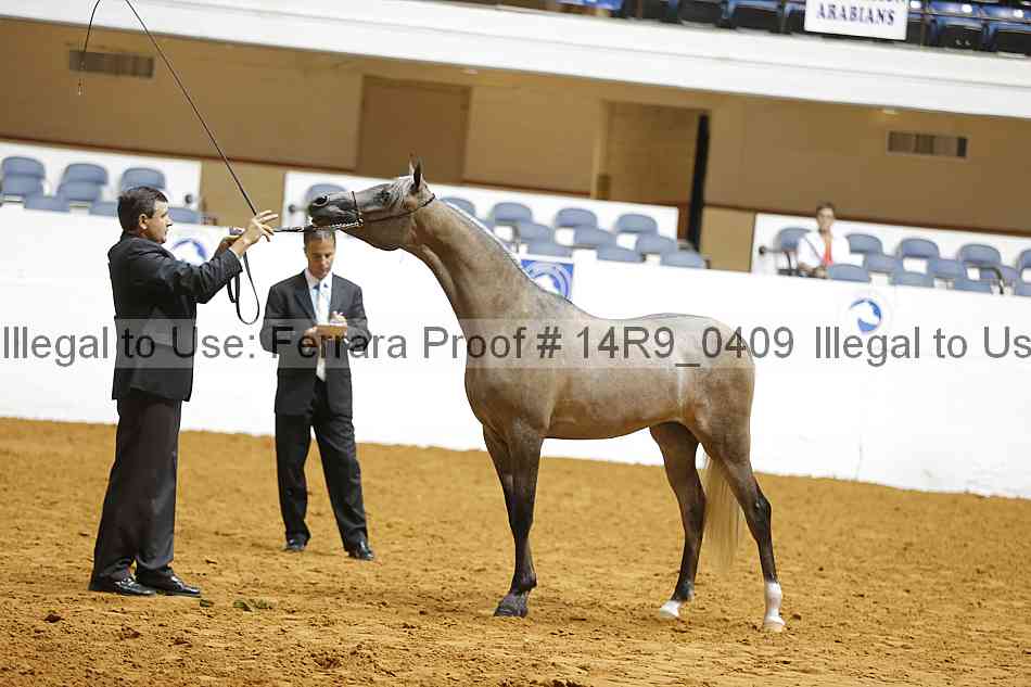 Proof 14r9_0409