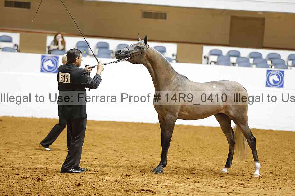 Proof 14r9_0410