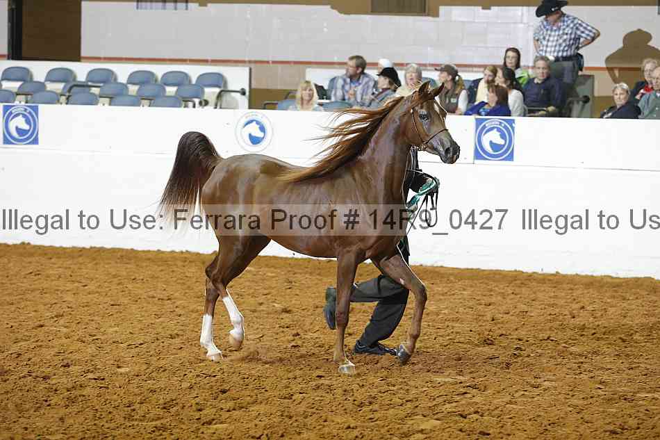 Proof 14r9_0427