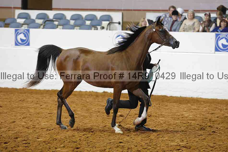 Proof 14r9_0429