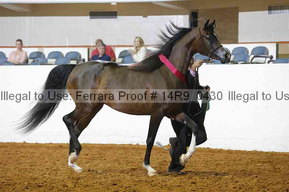 Proof 14r9_0430