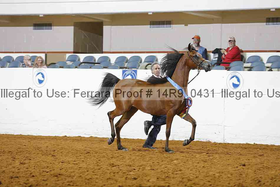 Proof 14r9_0431
