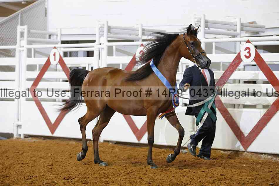 Proof 14r9_0433