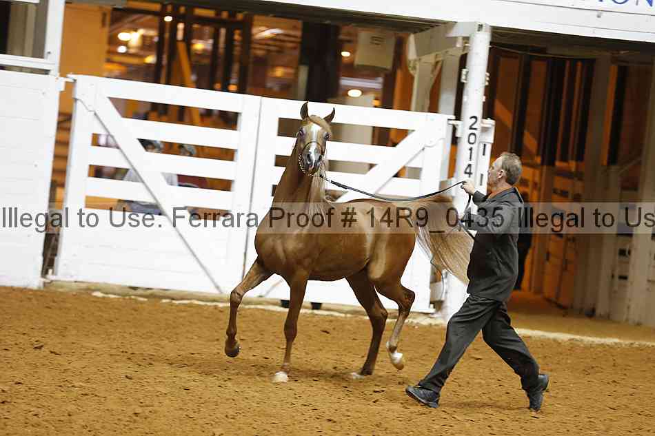 Proof 14r9_0435