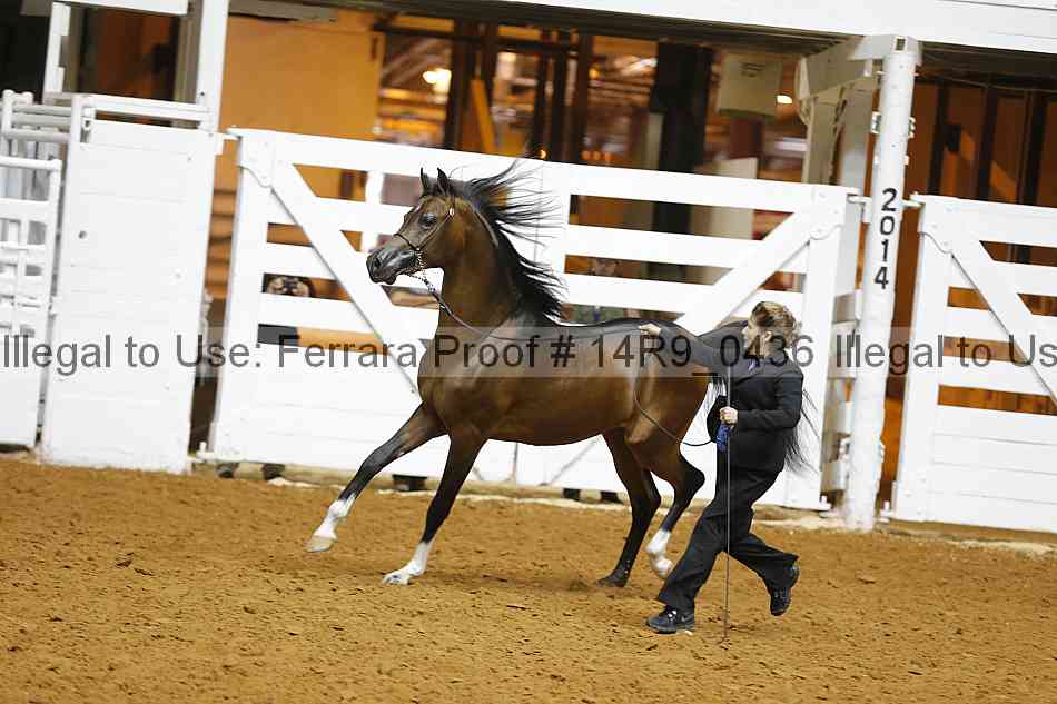 Proof 14r9_0436