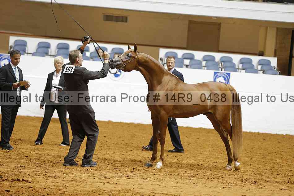 Proof 14r9_0438