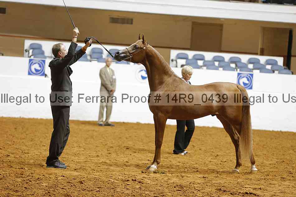 Proof 14r9_0439
