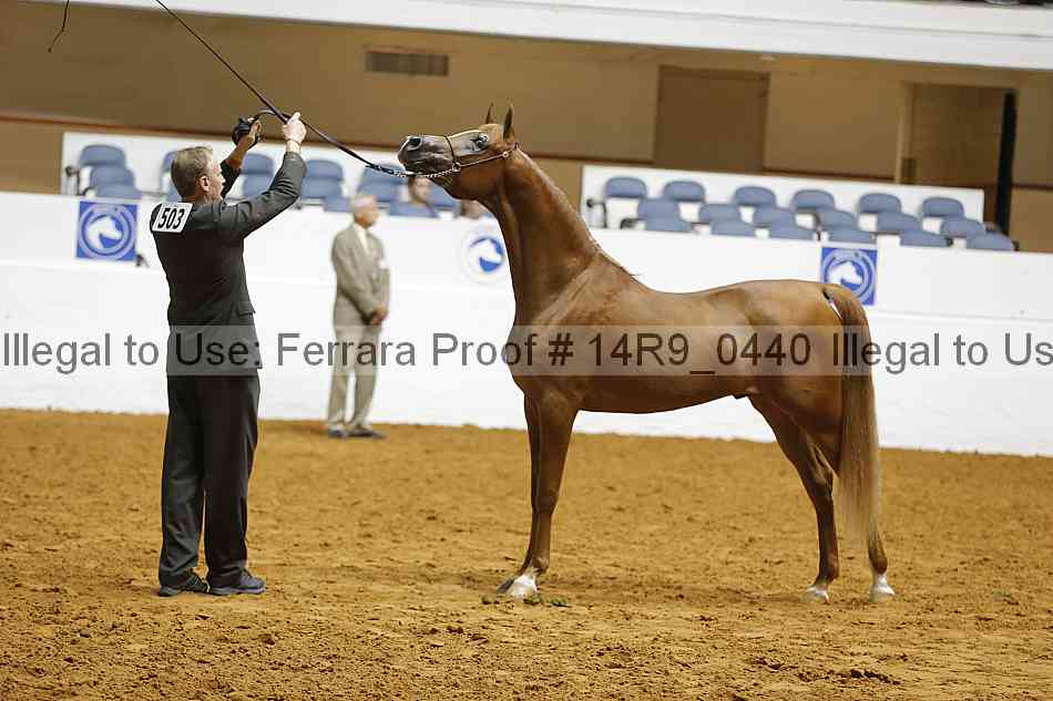 Proof 14r9_0440
