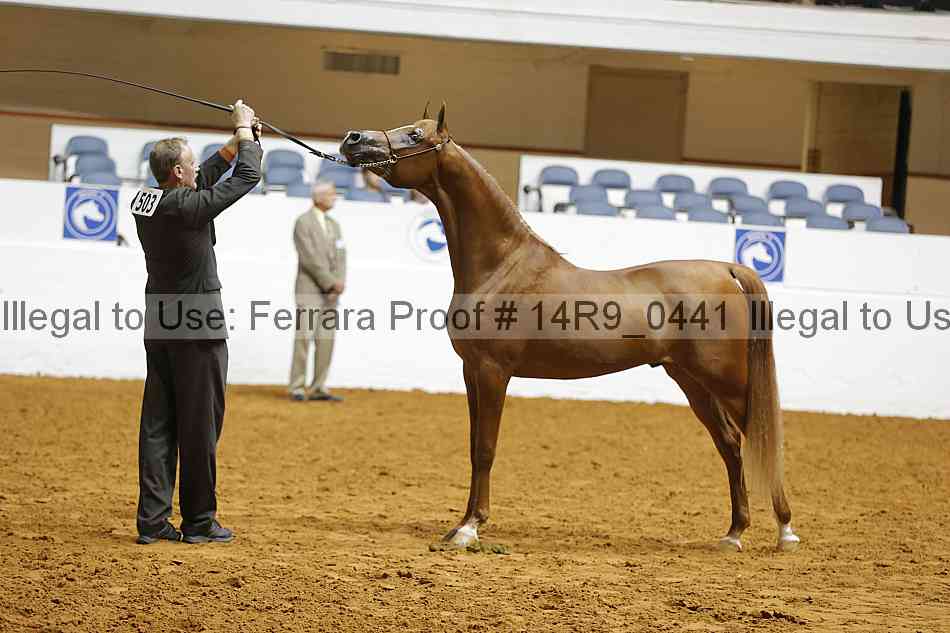 Proof 14r9_0441