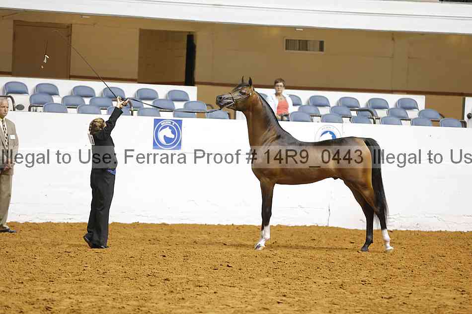 Proof 14r9_0443