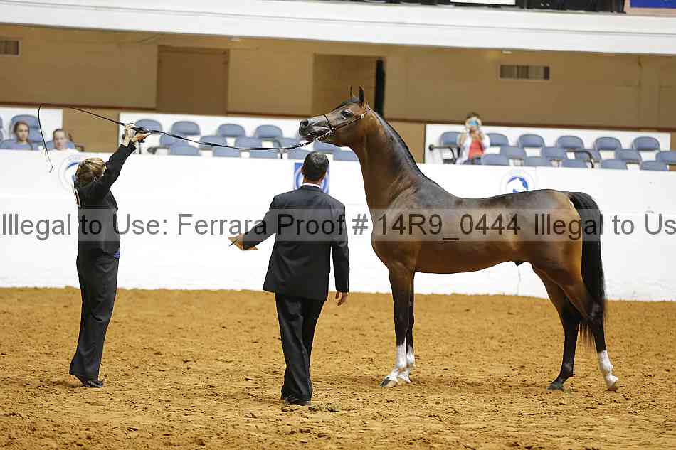Proof 14r9_0444