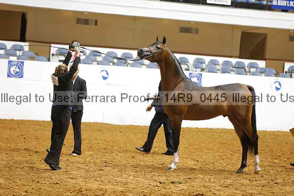 Proof 14r9_0445