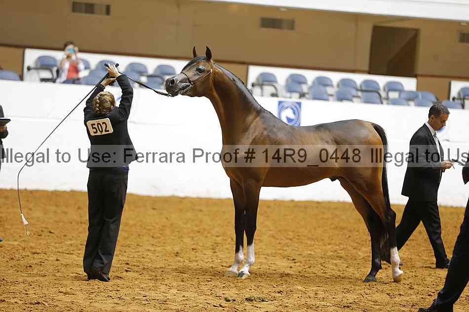 Proof 14r9_0448