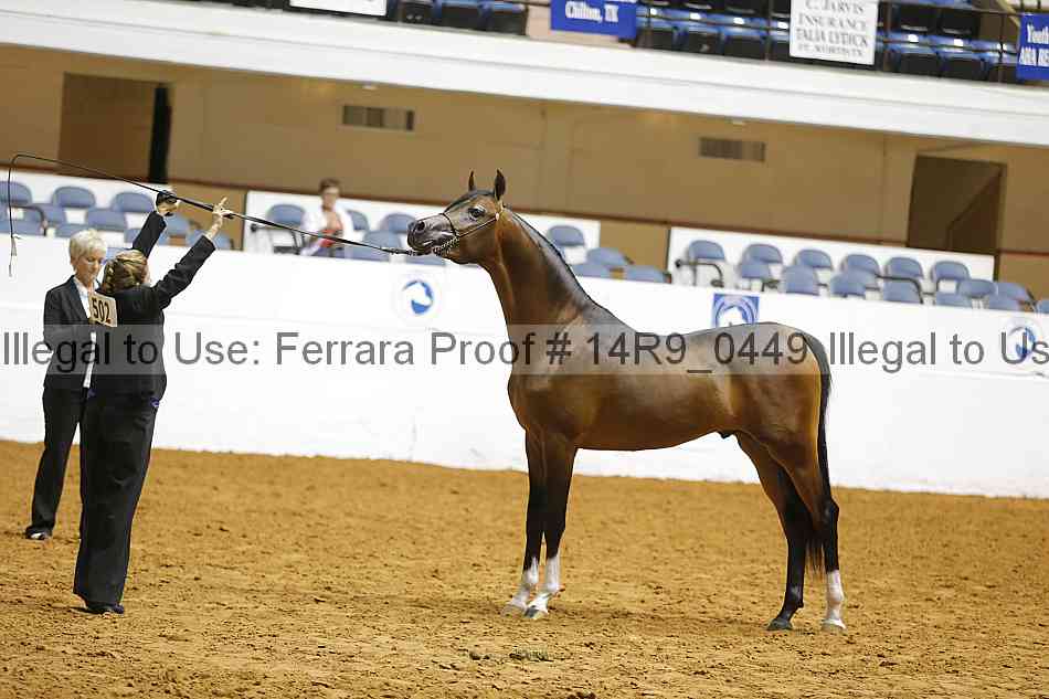 Proof 14r9_0449