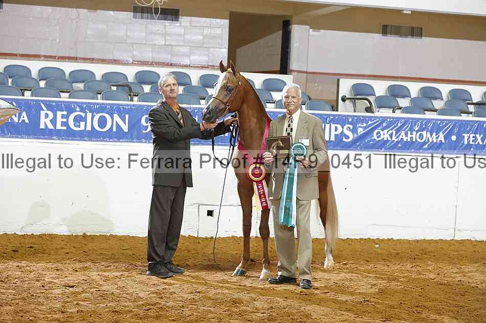 Proof 14r9_0451