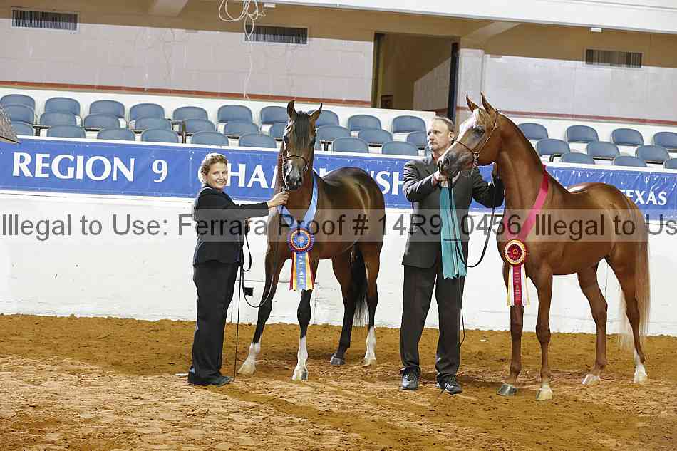 Proof 14r9_0456
