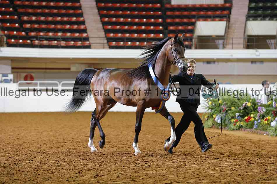 Proof 14r9_0458